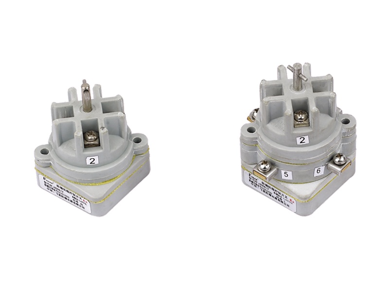 Explosion-proof control switch