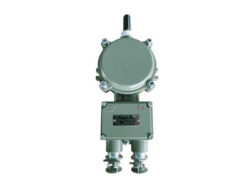 Explosion proof intelligent sensor